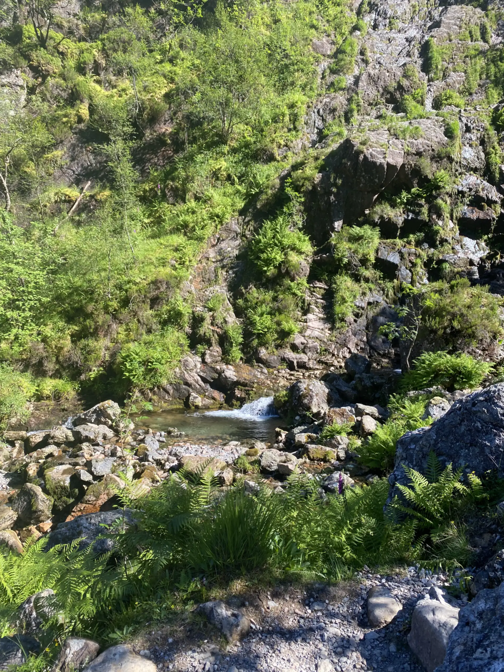 Lorem ipsum highland memories