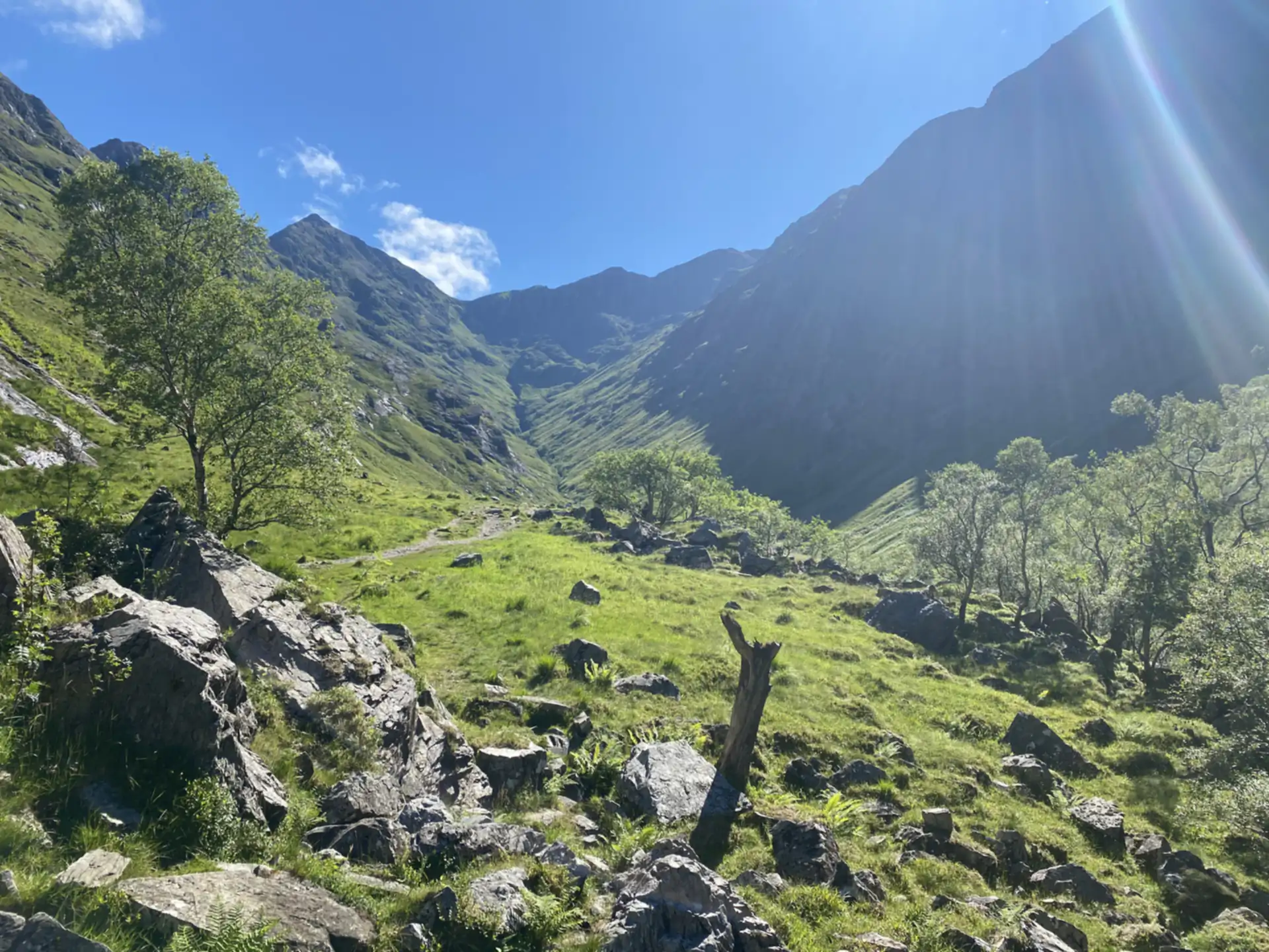 Lorem ipsum highland happiness