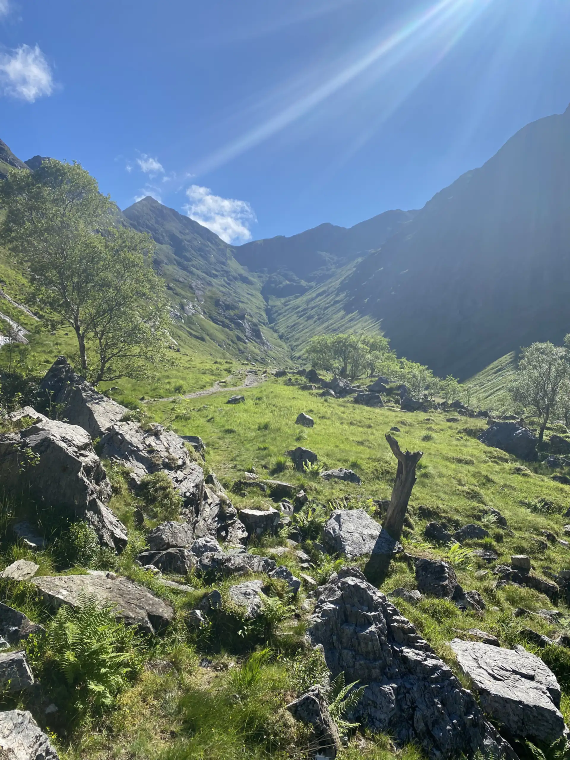 Lorem ipsum scenic enjoyment