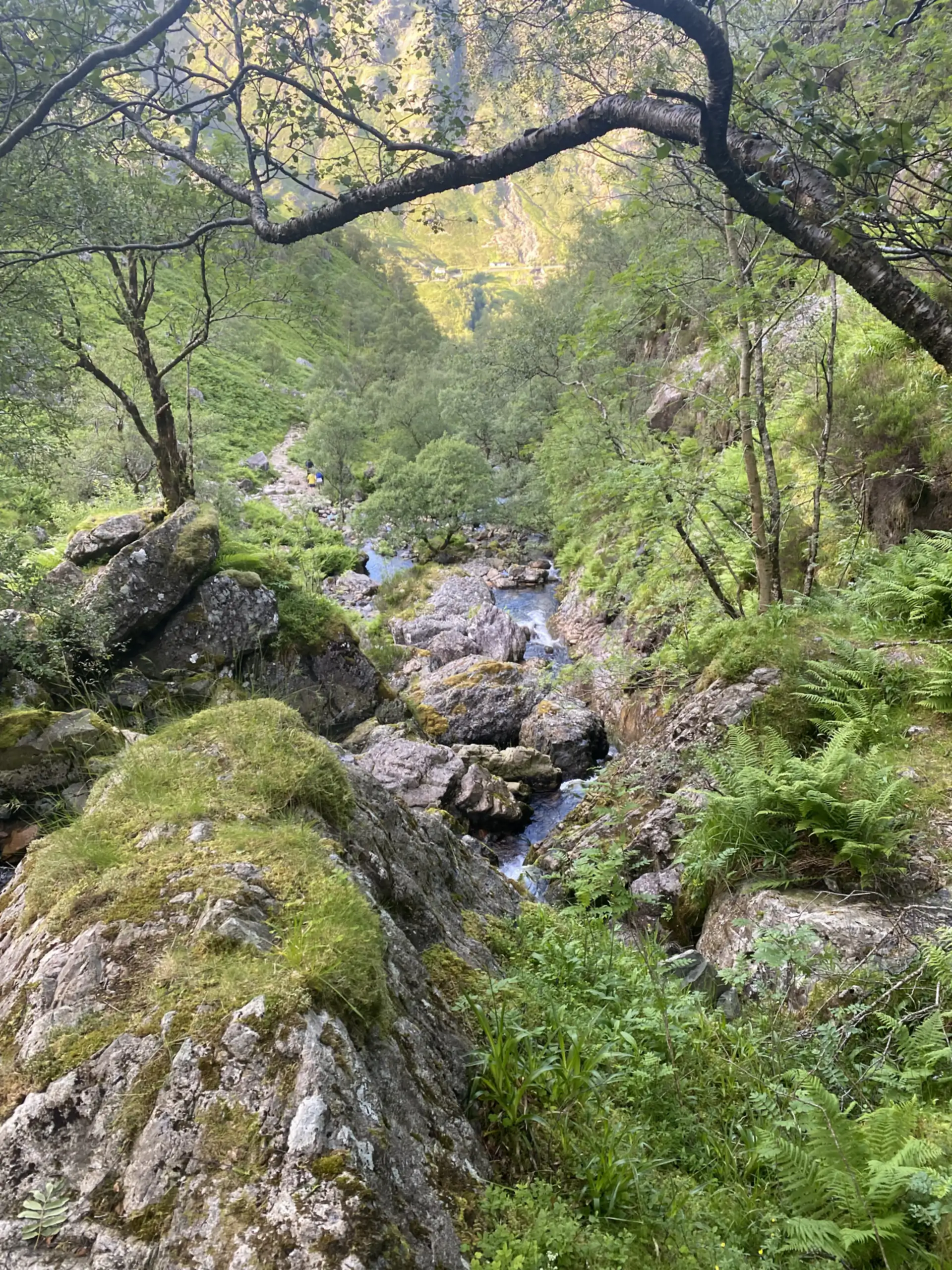Lorem ipsum outdoor exploration
