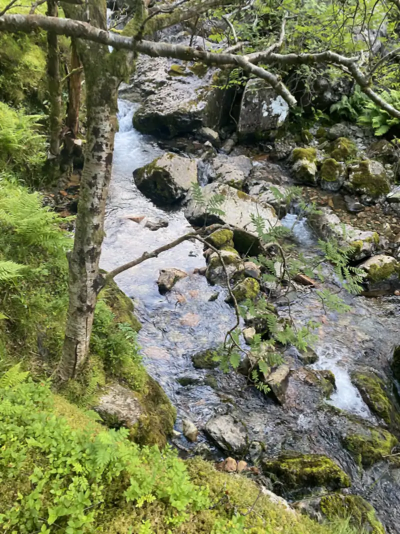 Scotland experience 34