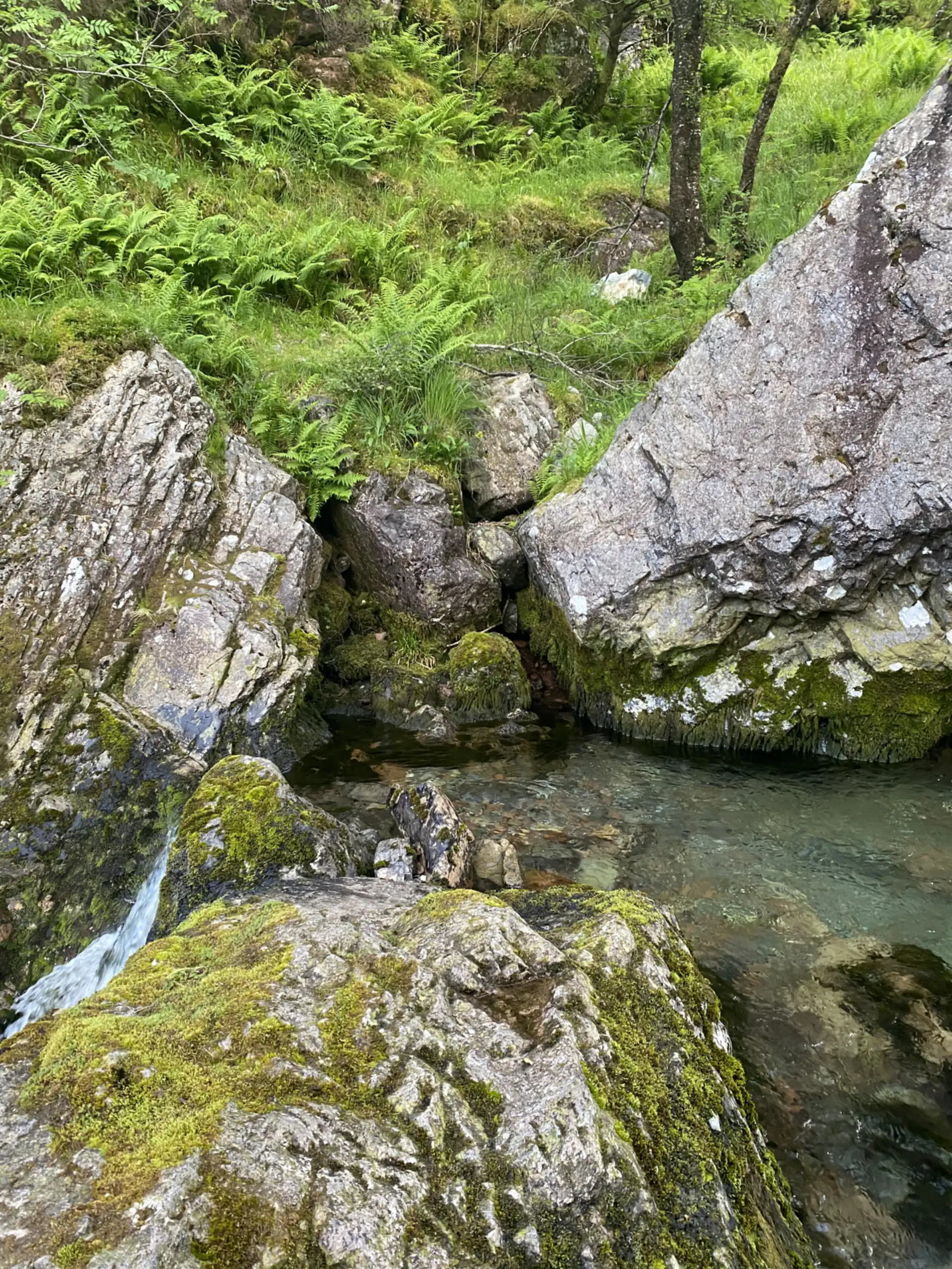 Lorem ipsum highland moments