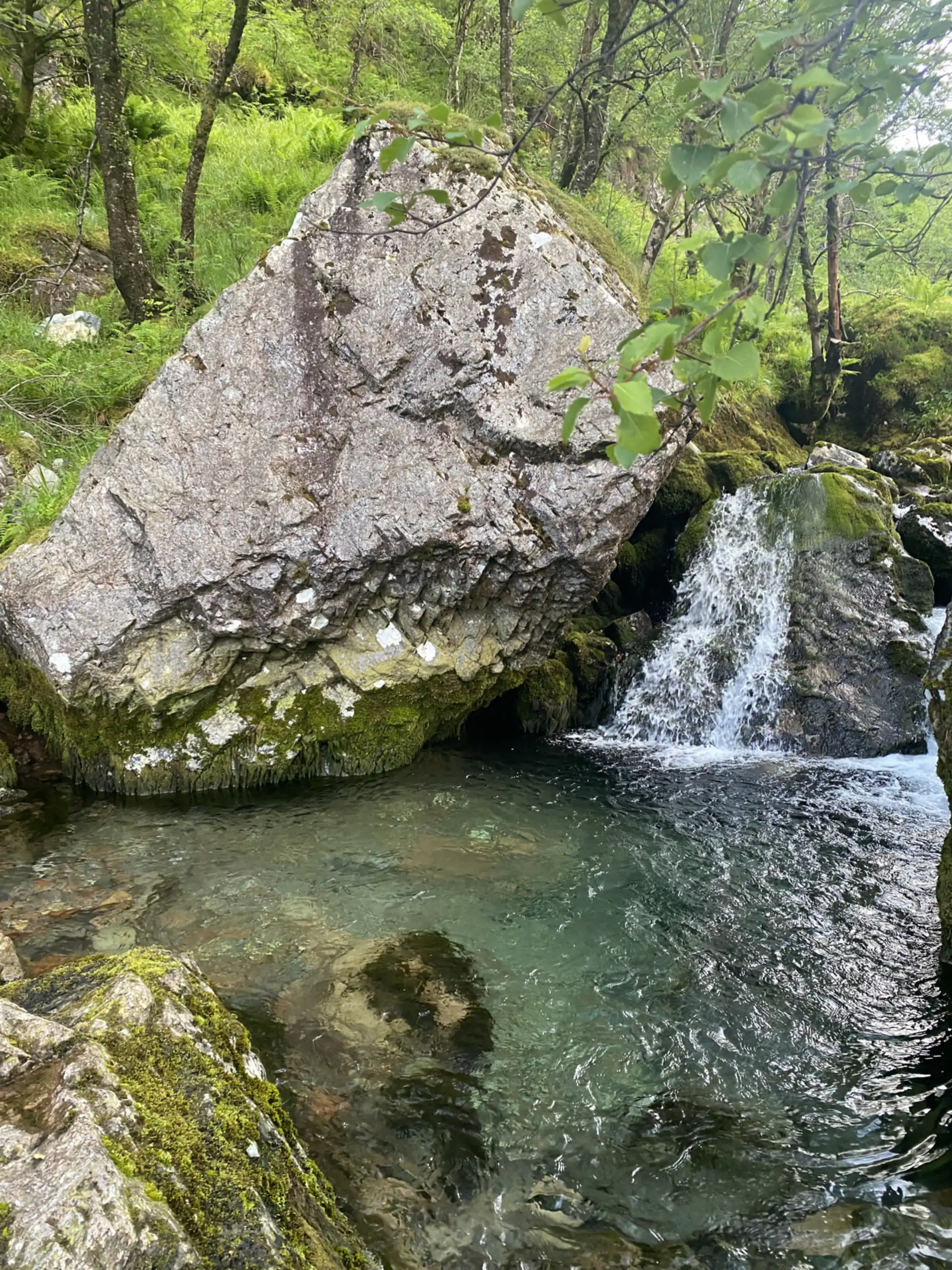 Lorem ipsum adventure joy