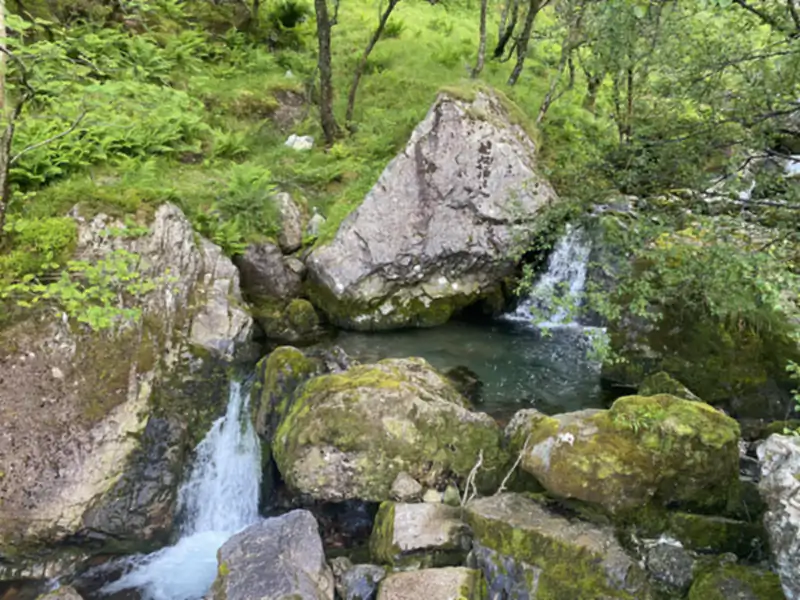 Scotland experience 38